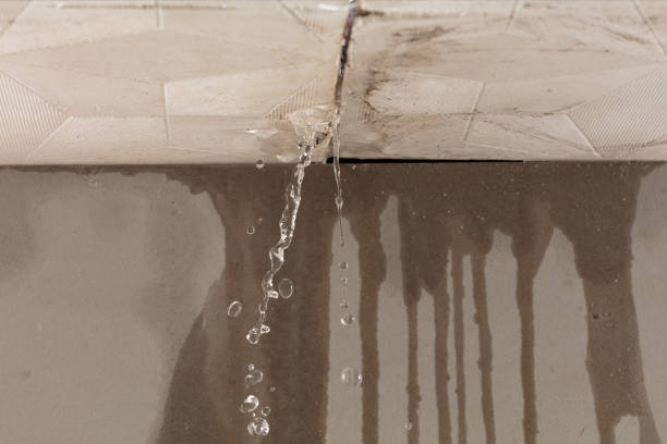 Professional Burst Pipe Cleanup technician working in Port Hadlock, WA
